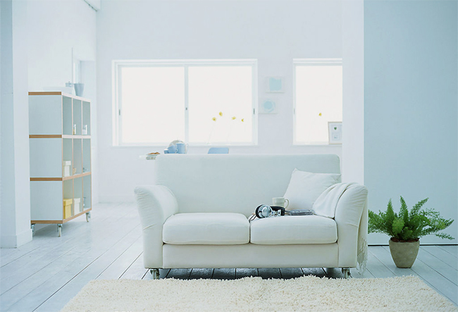 深圳裝修管理軟件市場趨勢分析？